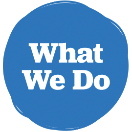 cattleya_what_we_do